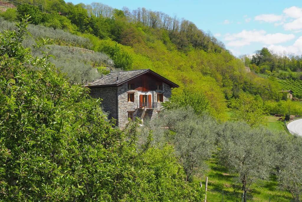 Fantastica Villa Fra Le Alpi Valtellinesi Tresivio Εξωτερικό φωτογραφία
