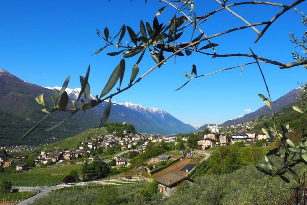 Fantastica Villa Fra Le Alpi Valtellinesi Tresivio Εξωτερικό φωτογραφία